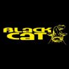 Slika za kategoriju Black Cat