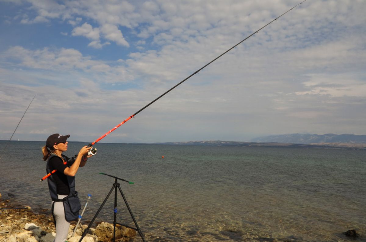 Slika za kategoriju Surf fishing/Pilk/Boat Štapovi