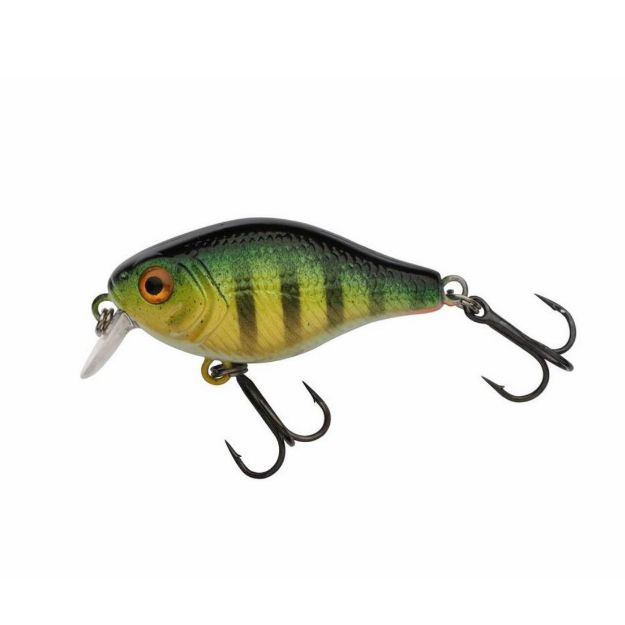 Berkley Pulse Fry Shallow 3,8cm Varalice perch