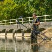 AVID CARP Extremity Rod Pod