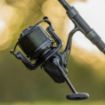 AVID CARP Ex Cast 12000 Role