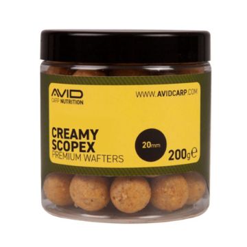 Avid Creamy Scopex Wafteri 20mm za ribolov šarana