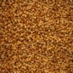 Mainline SK2 Pelete 2mm 1kg za ribolov 