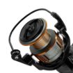 Delphin Bingo Freespool Role
