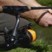 Delphin Bingo Freespool Role