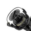 Delphin MAGIX DP Role