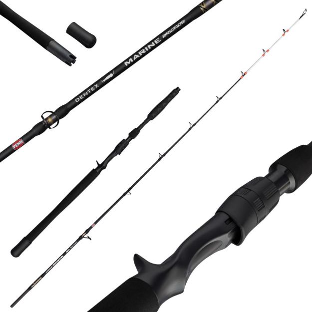 PENN Marine Brigade Dentex 1.90m 50-150g morski ribolov zubatca 