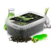 Delphin Reaxe READY&GO method feeder pelete Garlic Butyric za ribolov šarana