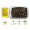 Delphin Reaxe READY&GO Method Feeder Pelete Set